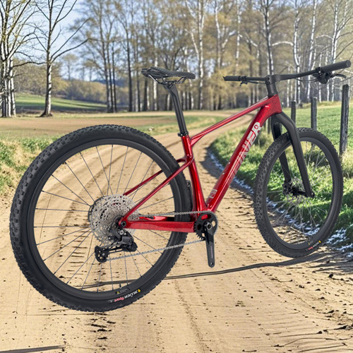 Bici completa carbonio 29er - bici,