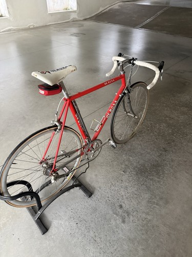 Rosa bici corsa rossa - da,
