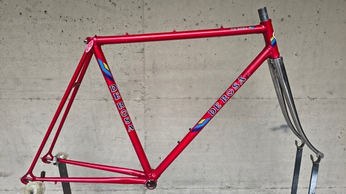 Rosa steel road - de,